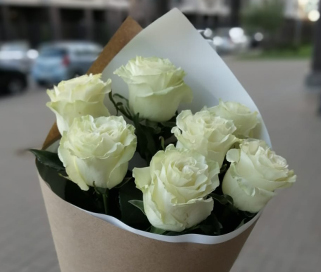 белые розы из эквадора